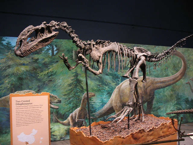 Dilophosaurus-Skeleton.jpg