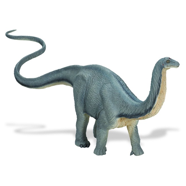 Apatosaurus | Extinct Animals