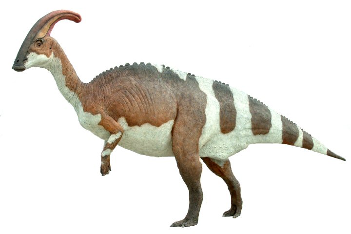 Parasaurolophus-Images.jpg
