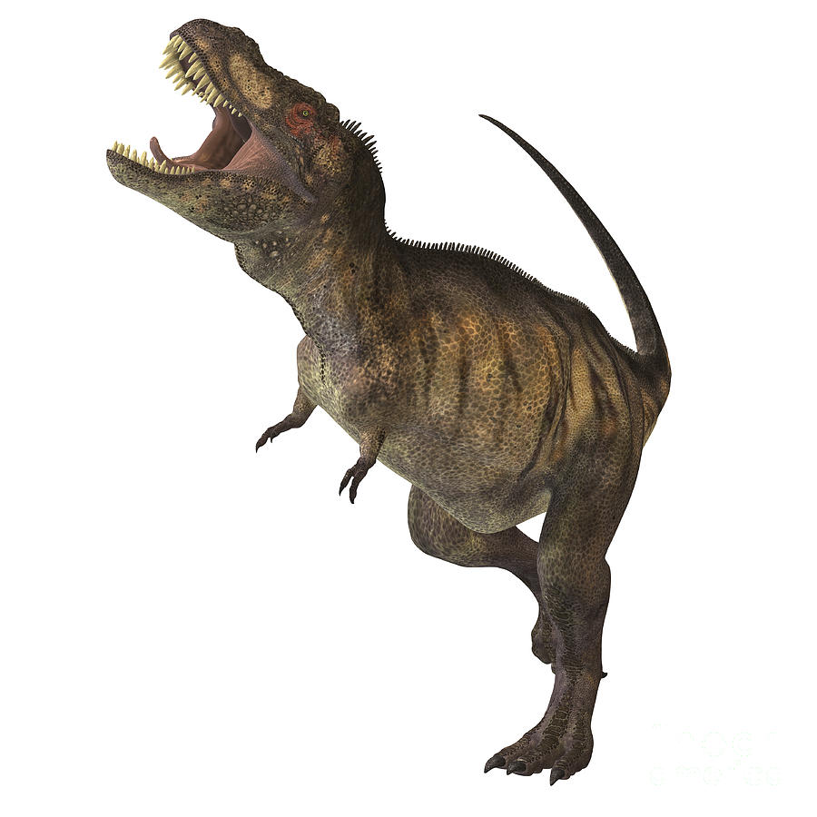 tyrannosaurus rex trex  extinct animals