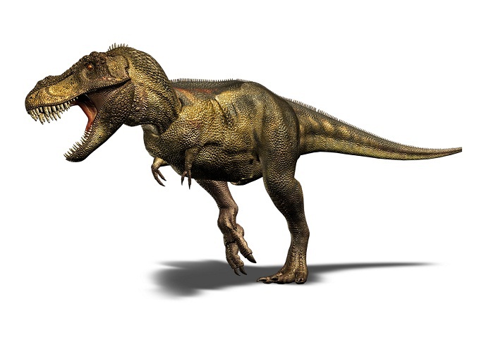 Tyrannosaurus rex (T-rex) | Extinct Animals