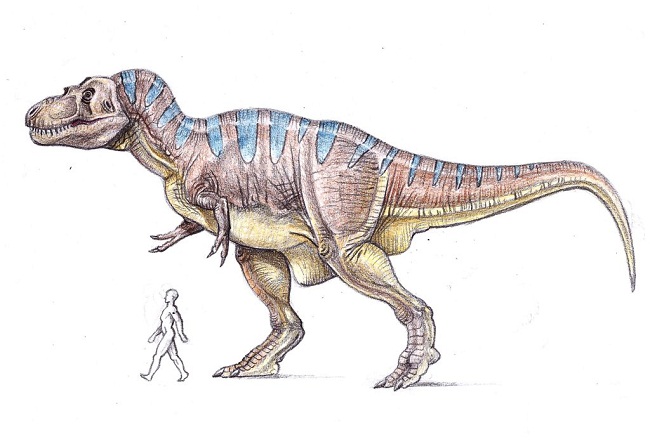 Tyrannosaurus rex (T-rex) | Extinct Animals