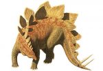 Stegosaurus Facts, Plate, Behavior, Characteristics and ...