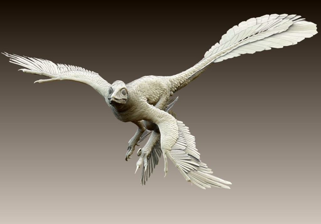 Microraptor Facts, Pictures, Discovery, Adaptation and Behavior