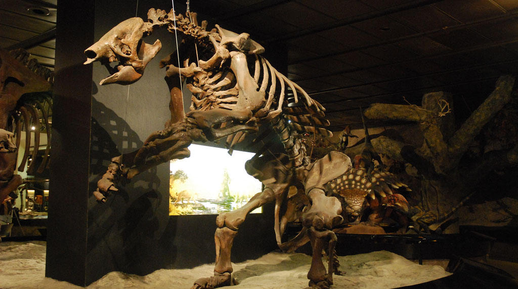 Giant Ground Sloth Skeleton