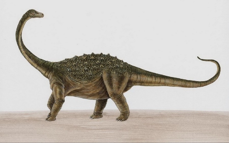Exploring Saltasaurus, the Unique Dinosaur with the Dome-Shaped Armor
