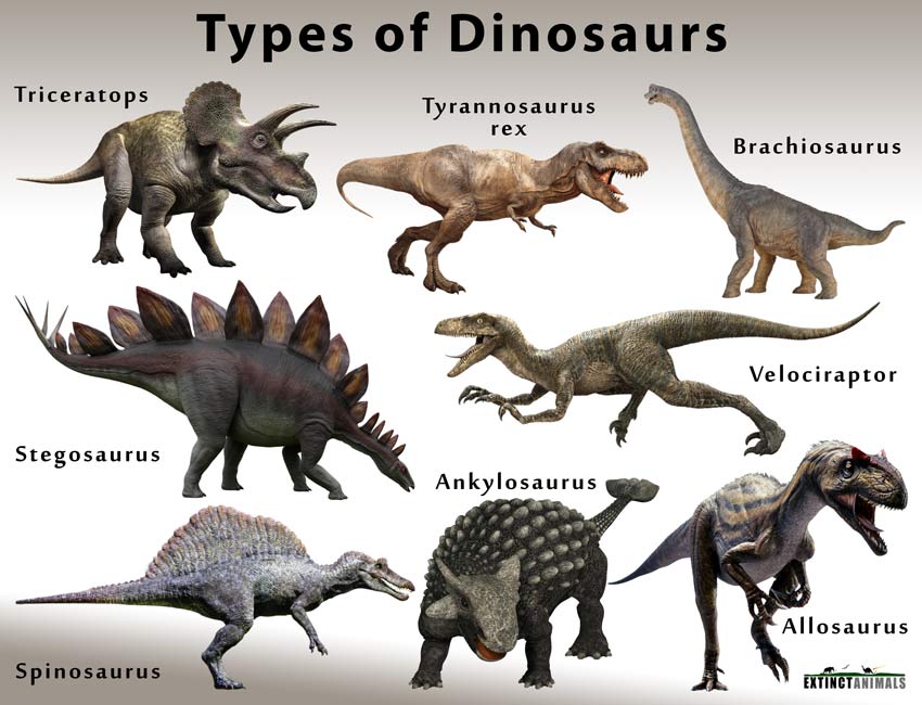 Dinosaurs List Of Types Names With Facts Pictures