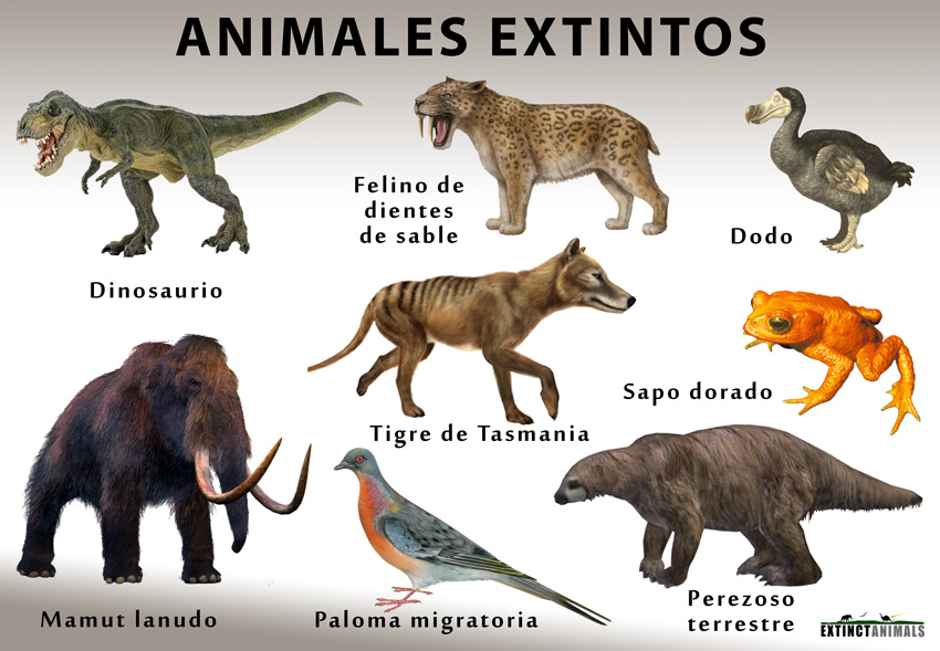 Animales extintos