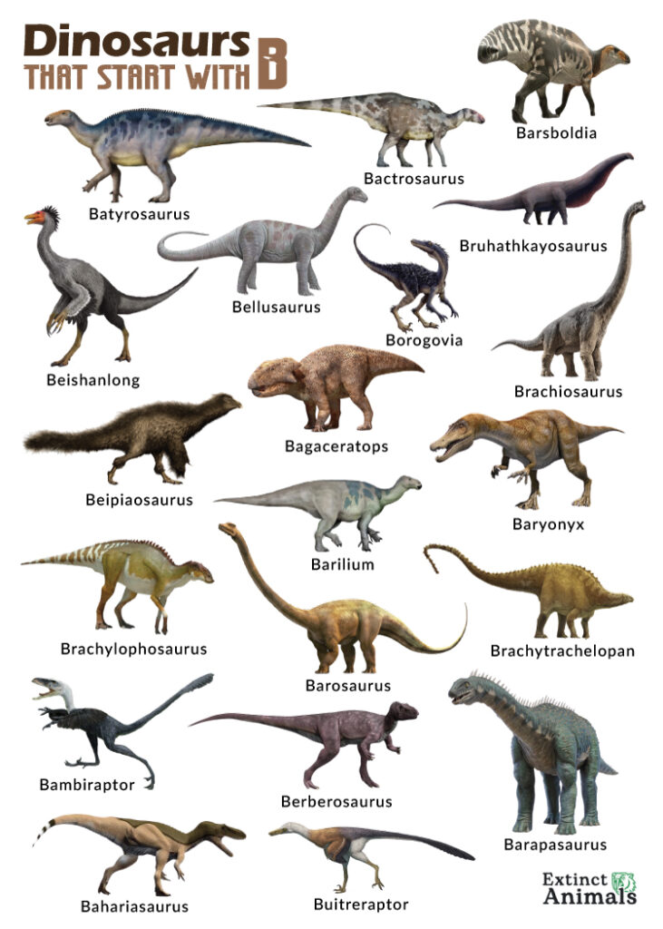 Dinosaurs that Start with B