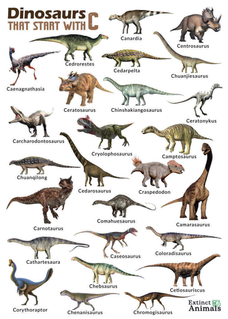Dinosaurs that Start with C