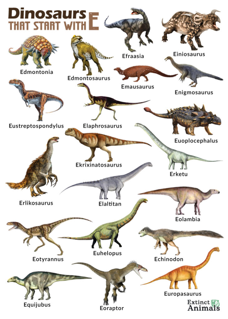 Dinosaurs that Start with E
