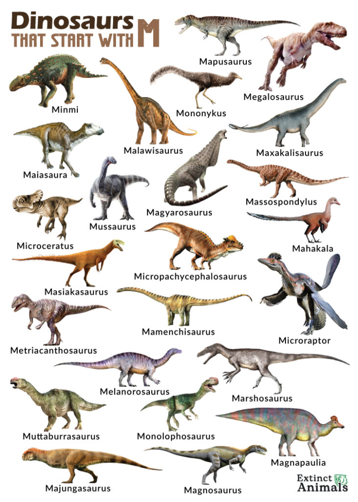 Dinosaurs that Start with M