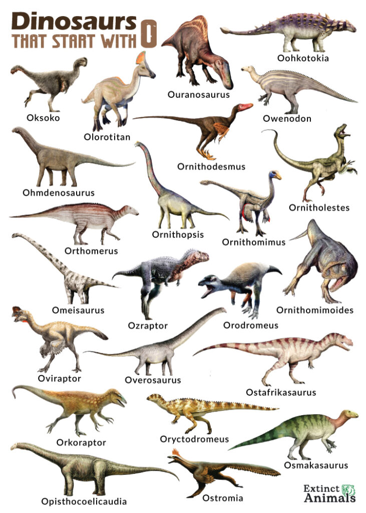 Dinosaurs that Start with O