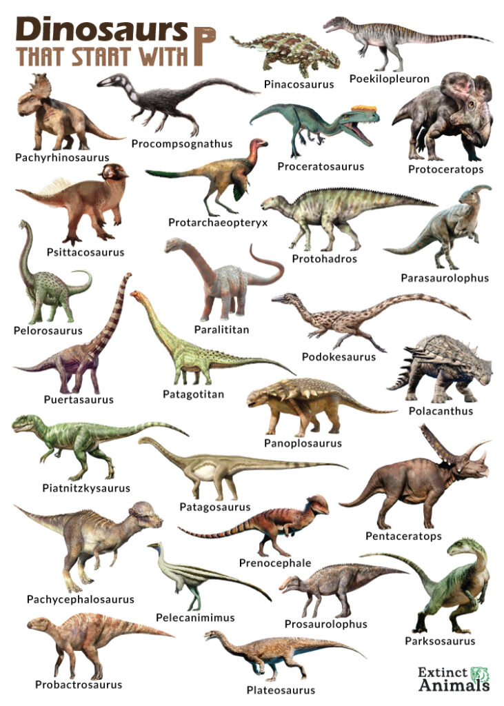 Dinosaurs that Start with P