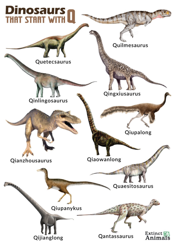 Dinosaurs that Start with Q