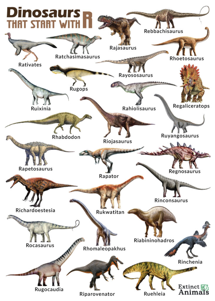 Dinosaurs that Start with R