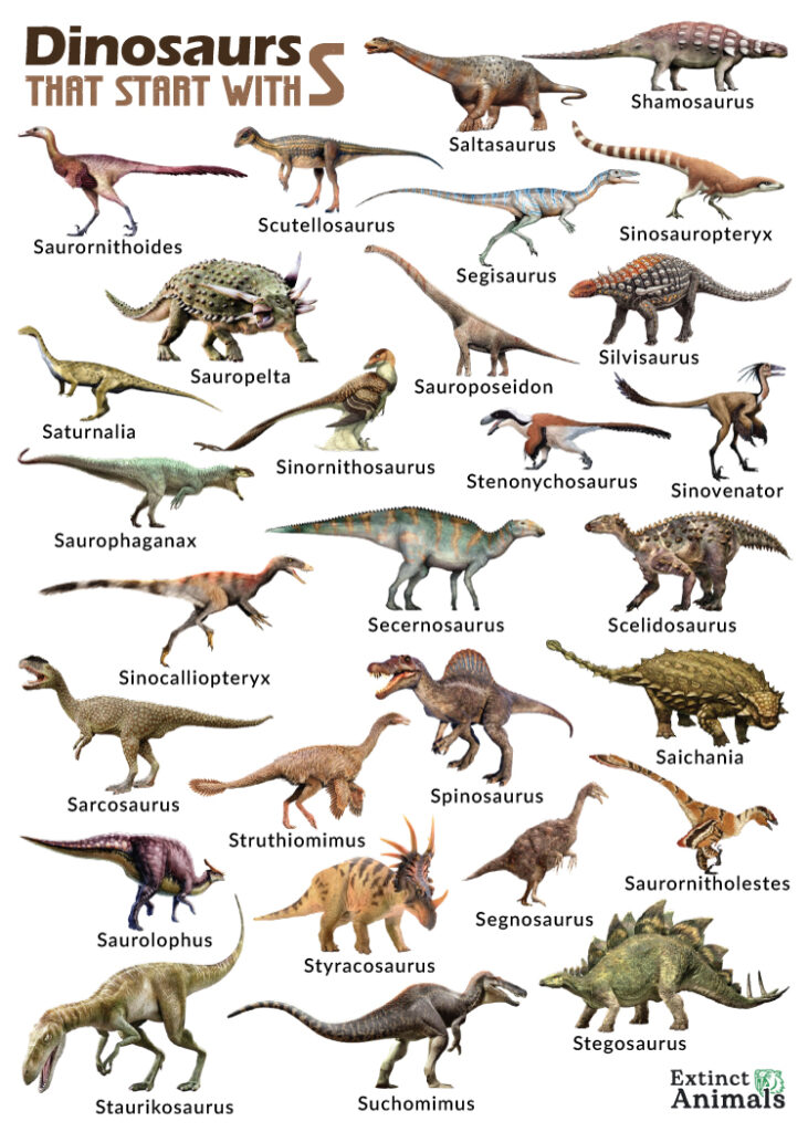 Dinosaurs that Start with S
