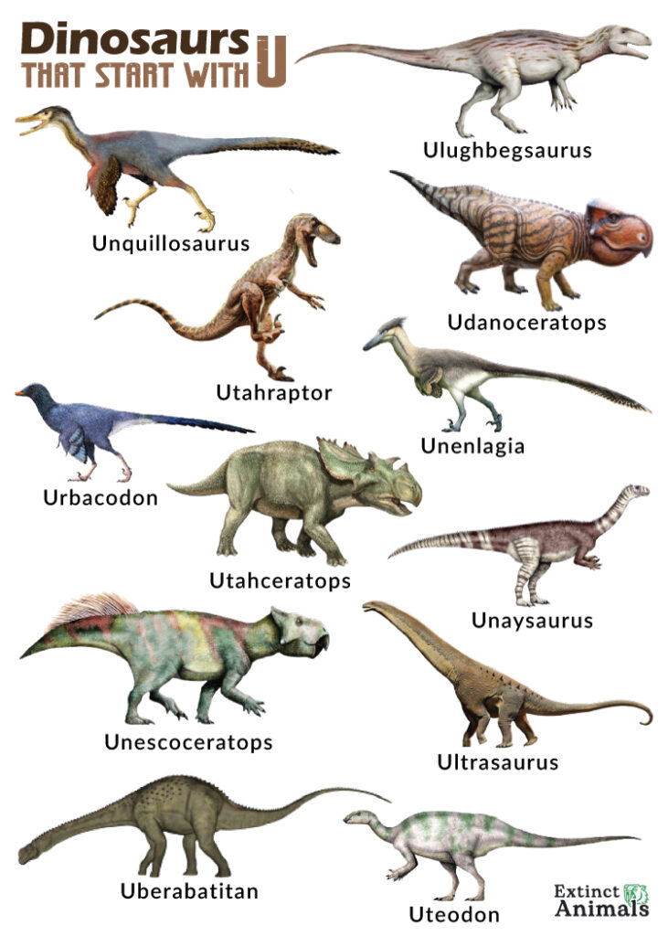 Dinosaurs that Start with U