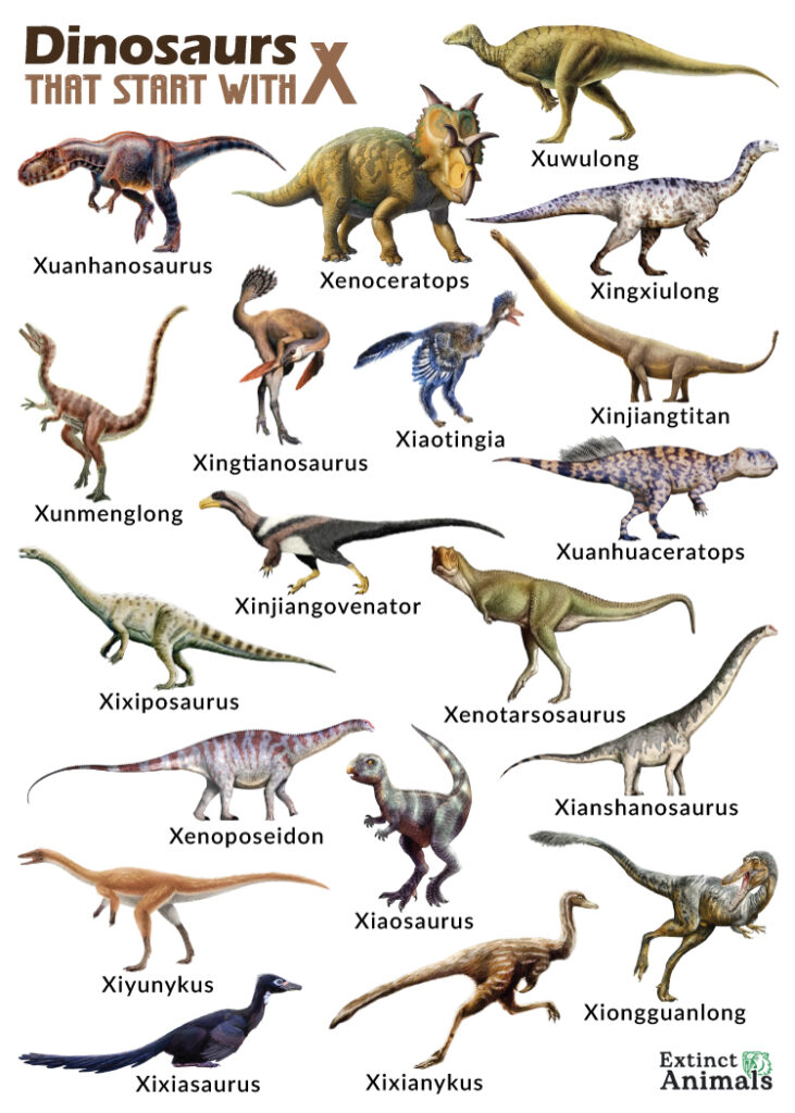 Dinosaurs that Start with X