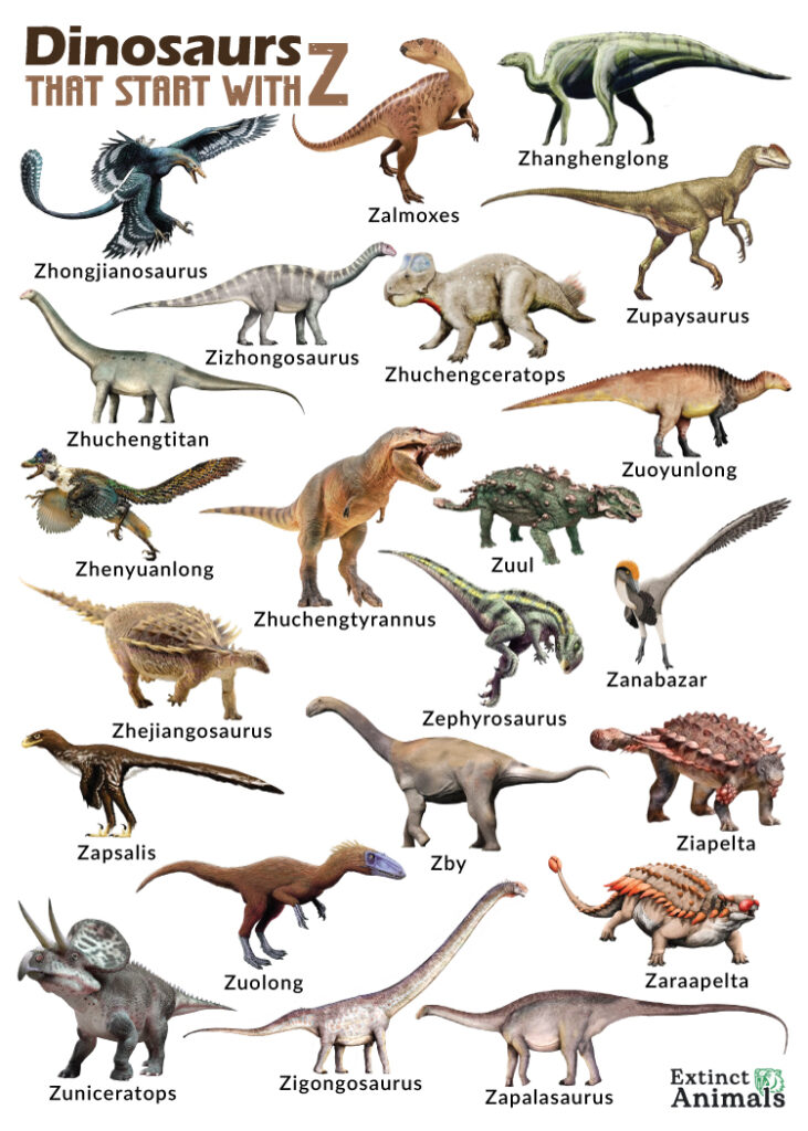 Dinosaurs that Start with Z