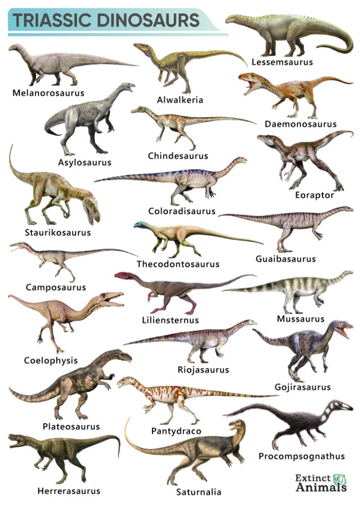 Triassic Dinosaurs