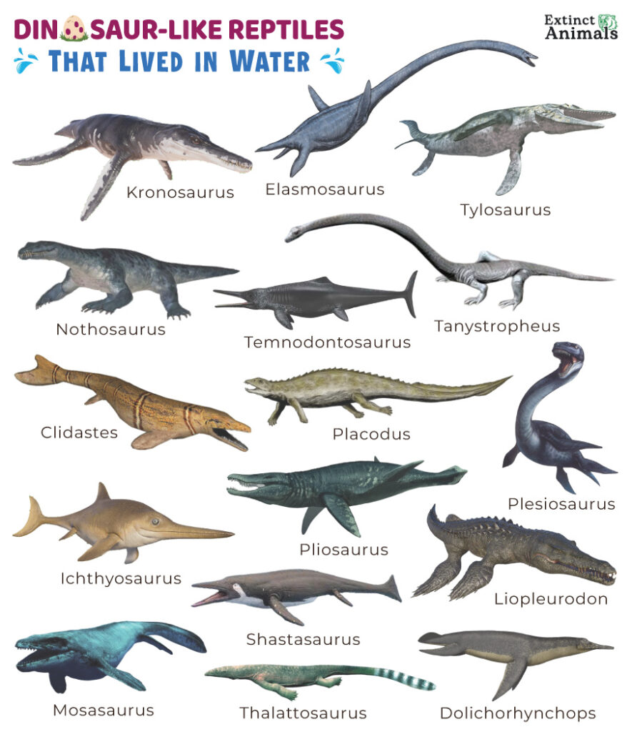 Dinosaur-like Reptiles That Lived in Water