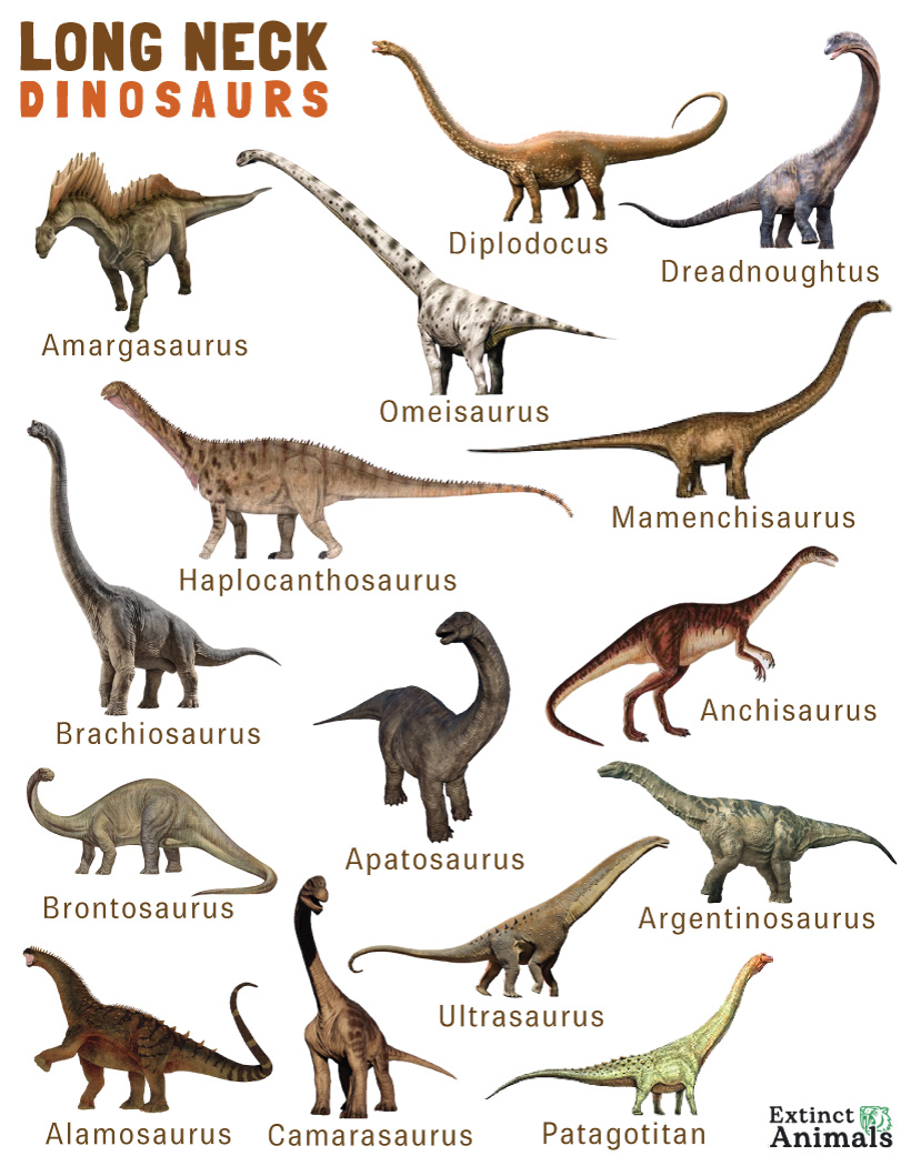 Long Neck Dinosaurs – List with Pictures