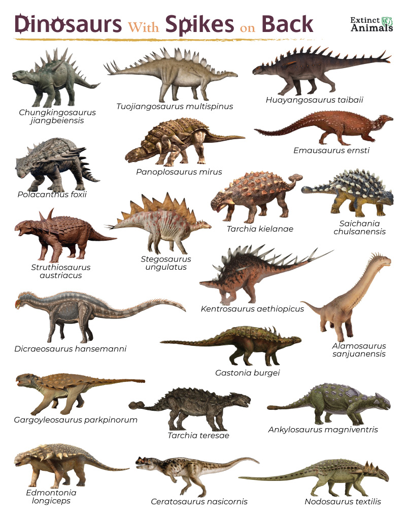Dinosaurs With Spikes on Back