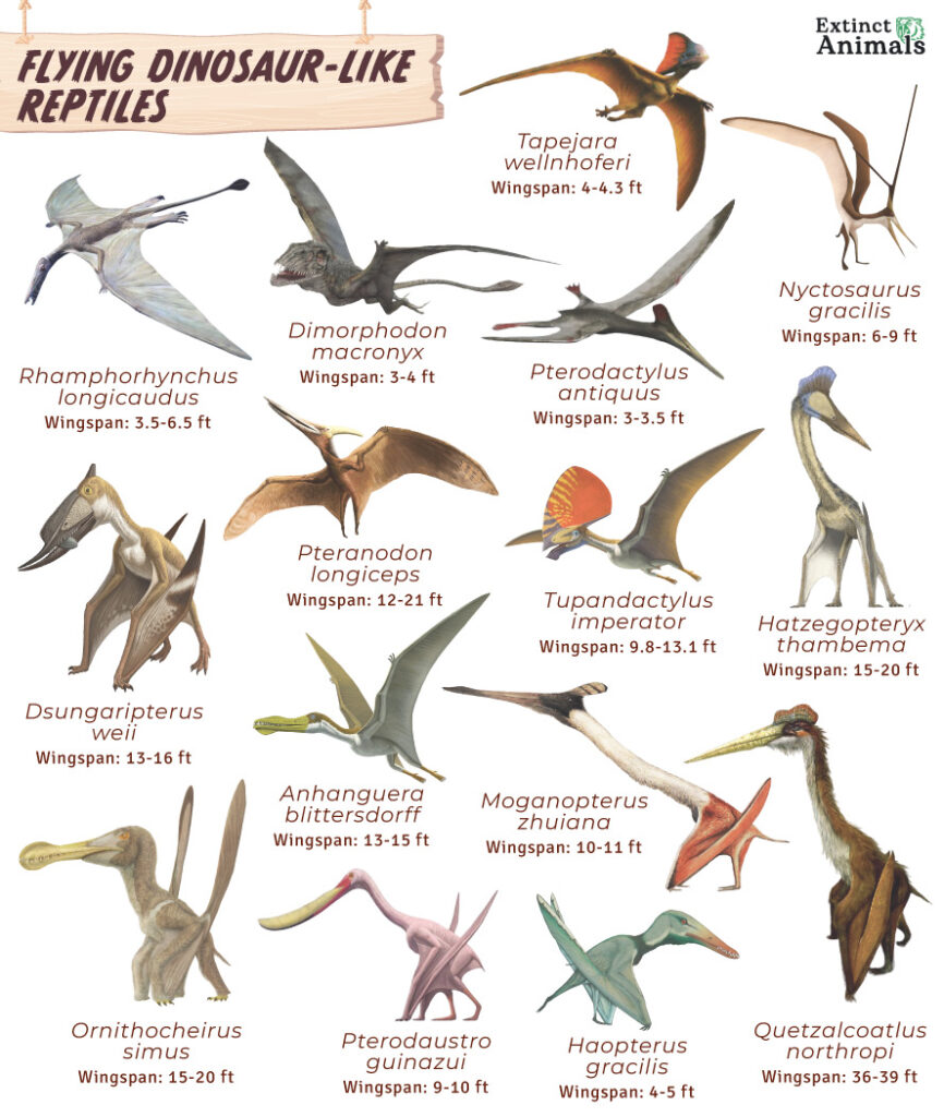 Flying Dinosaur-like Reptiles