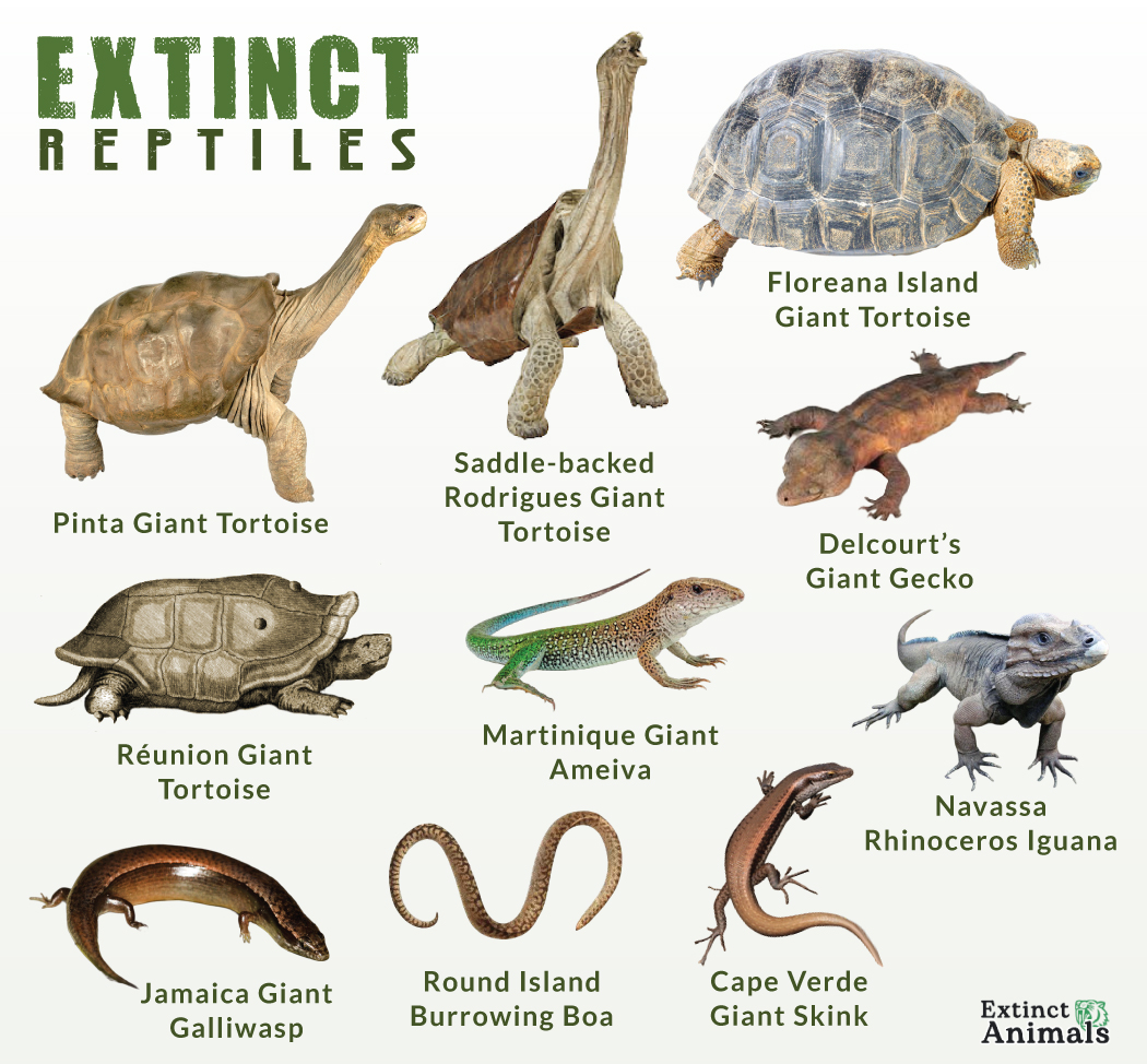 Extinct Reptiles