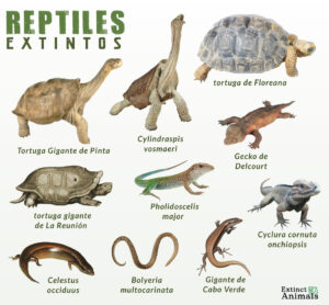 Reptiles Extintos