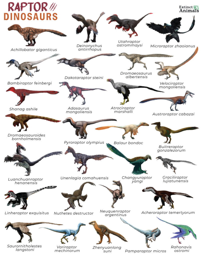 Raptor Dinosaurs